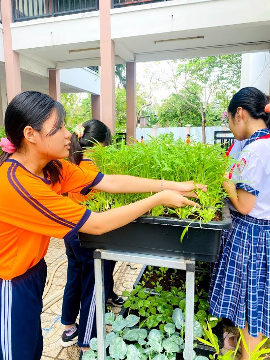Ảnh đại diện